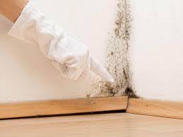 Best Emergency Mold Remediation  in Walford, IA